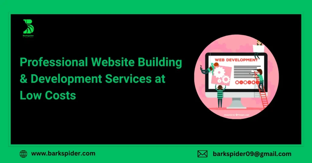 Professional Website Building & Development Services at Low Costs