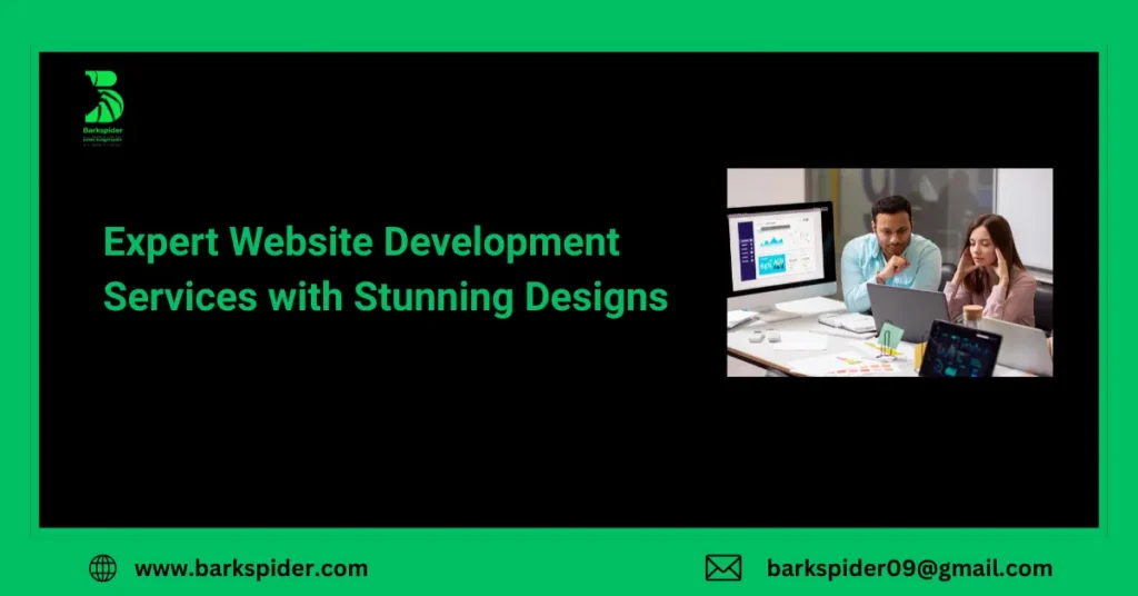Expert Website Development Services with Stunning Designs
